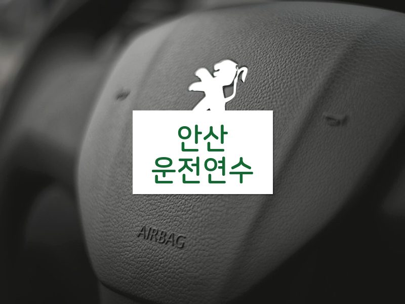 안산운전연수 후기