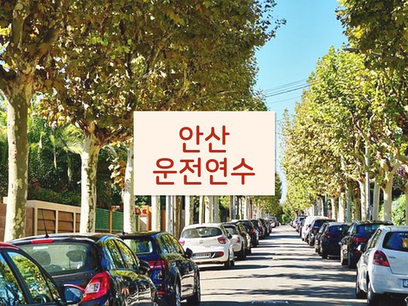 안산운전연수 후기
