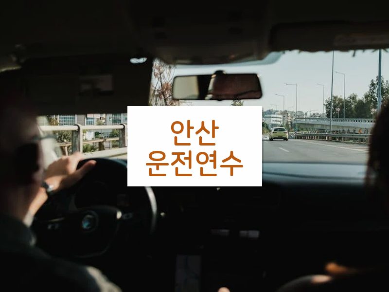 안산운전연수 후기