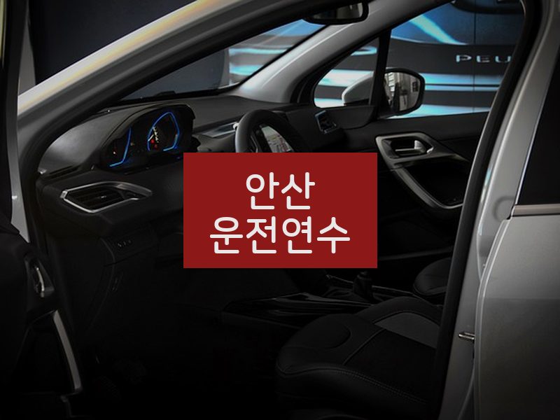 안산운전연수 후기