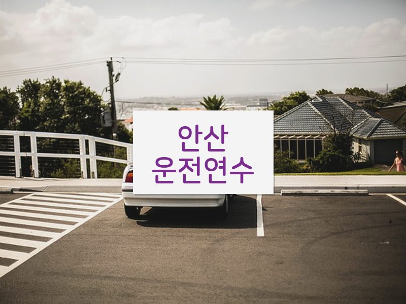 안산운전연수 후기