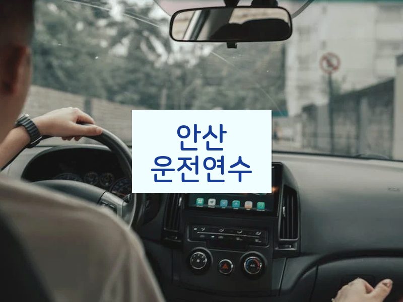 안산운전연수 후기