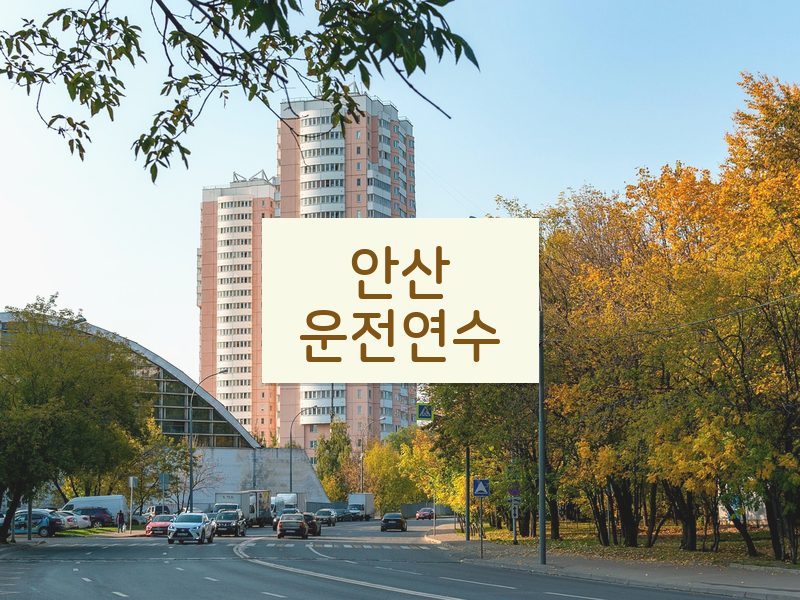 안산운전연수 후기