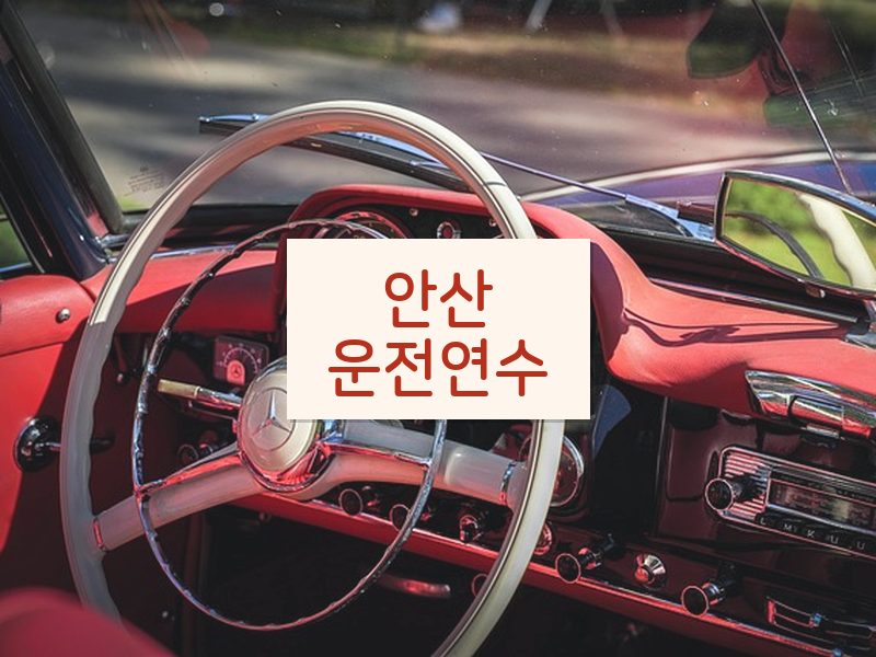 안산운전연수 후기