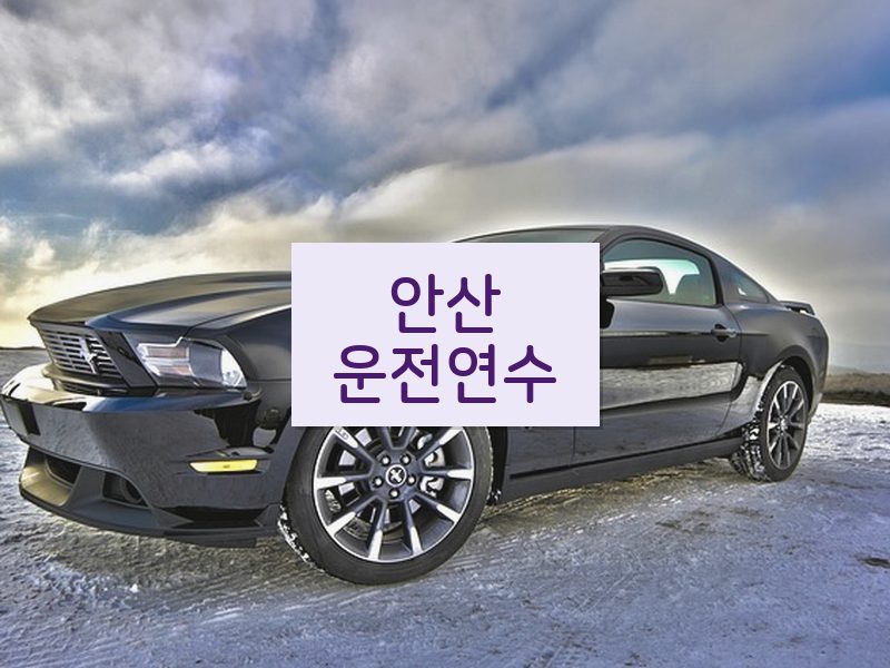 안산운전연수 후기