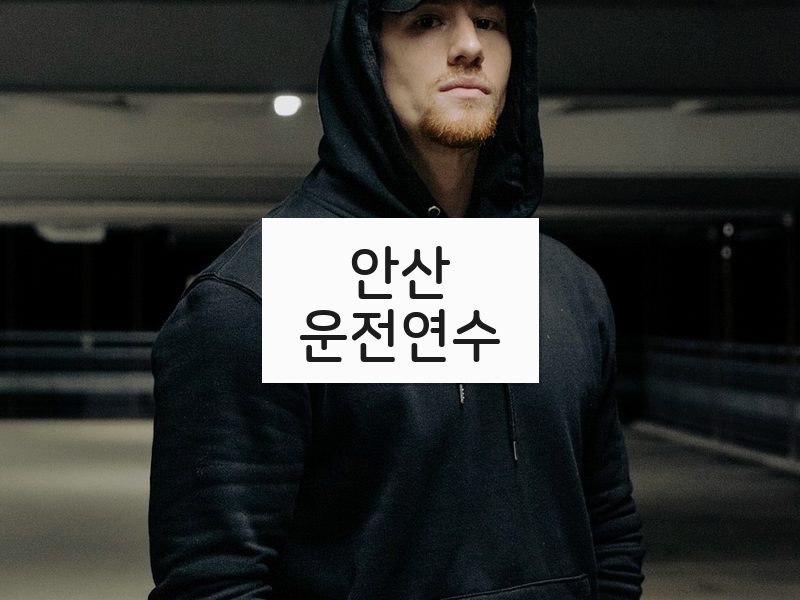 안산운전연수 후기