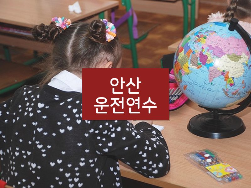 안산운전연수 후기