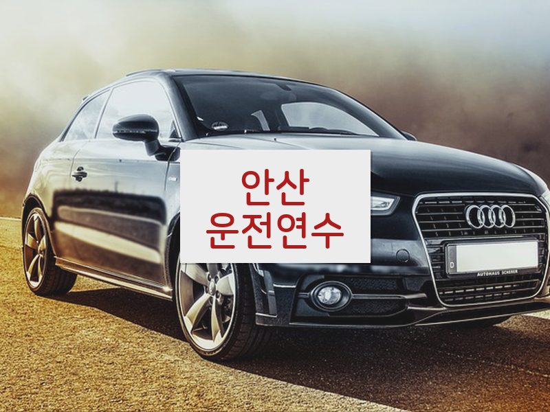 안산운전연수 후기