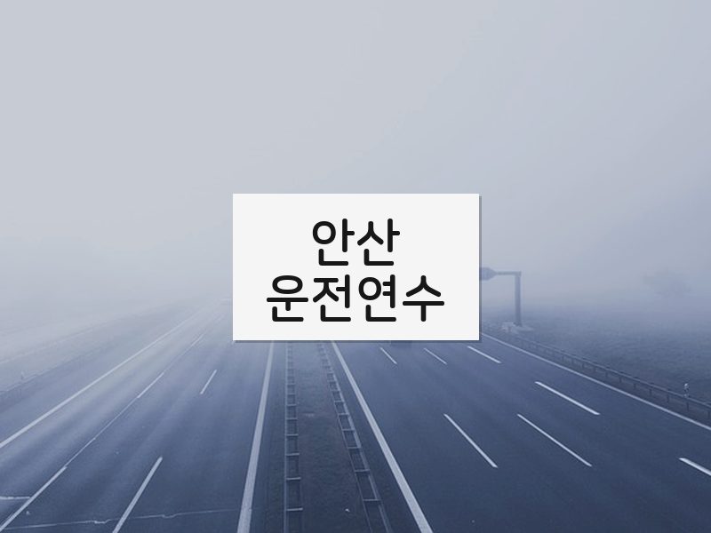 안산운전연수 후기