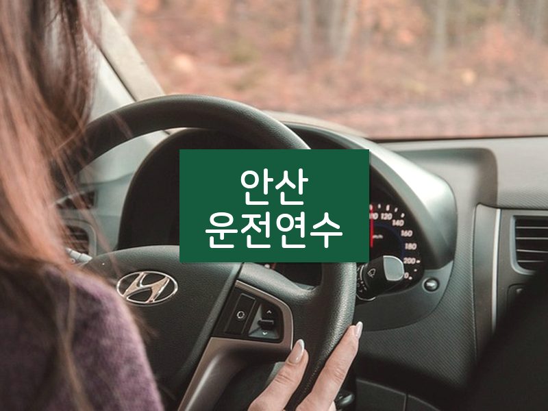 안산운전연수 후기