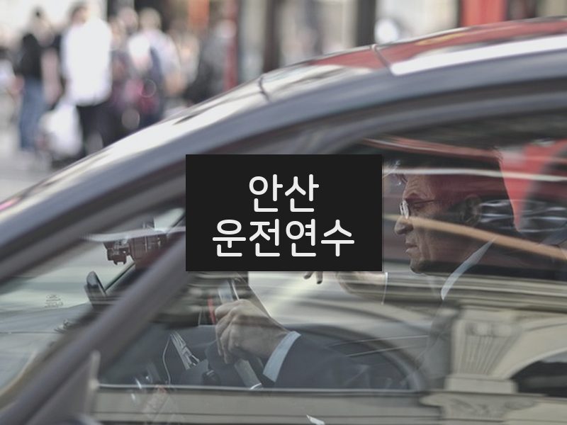 안산운전연수 후기