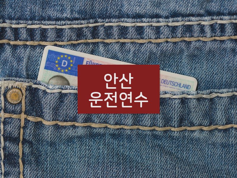 안산운전연수 후기