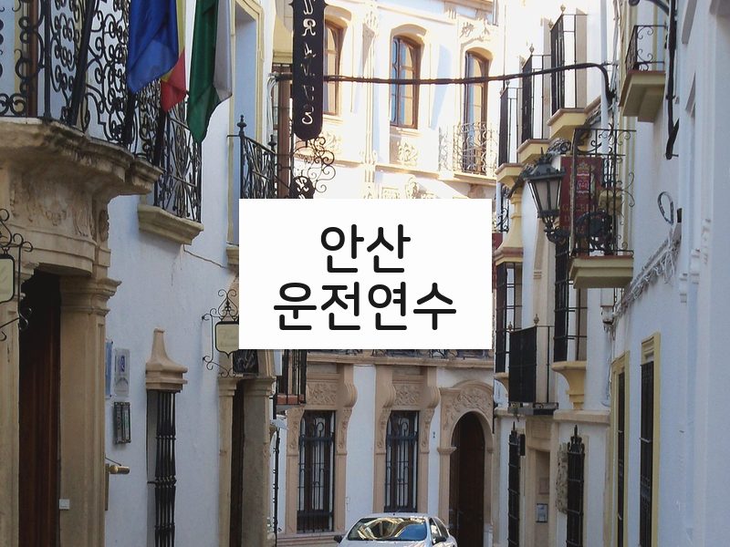 안산운전연수 후기