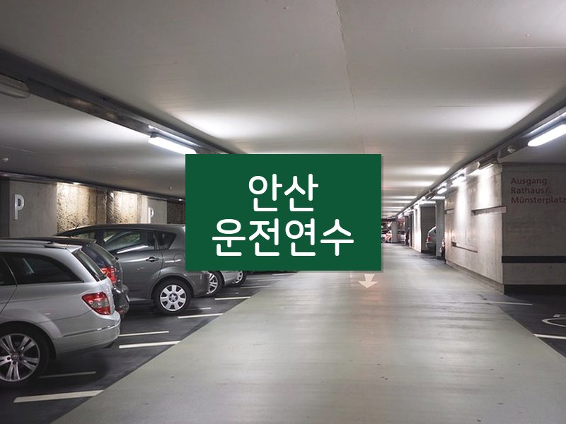 안산운전연수 후기