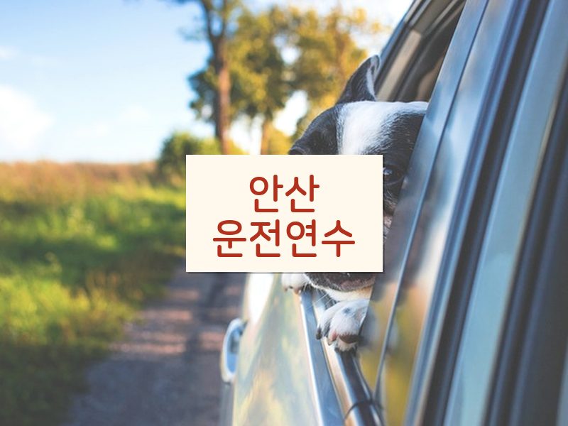 안산운전연수 후기