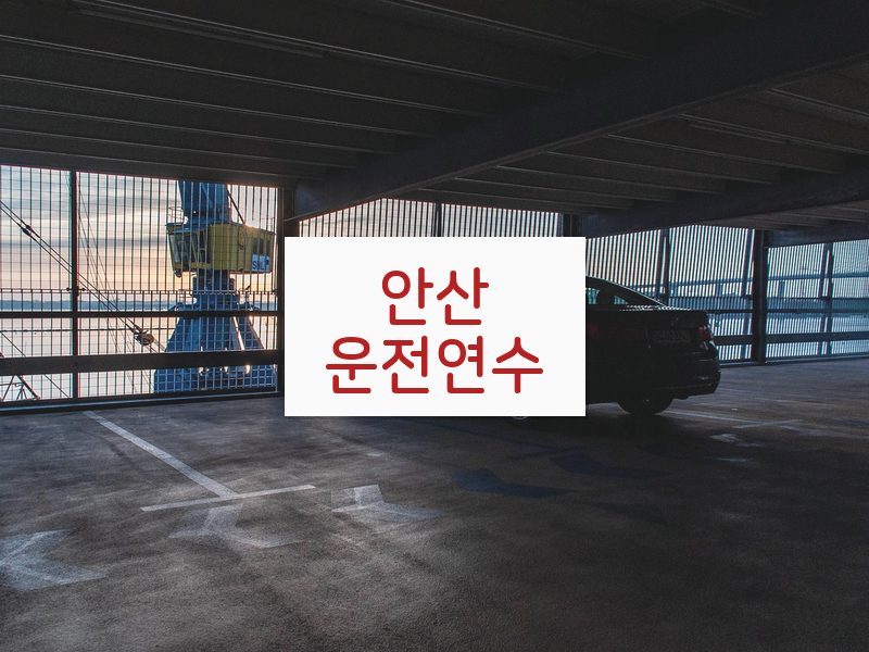 안산운전연수 후기