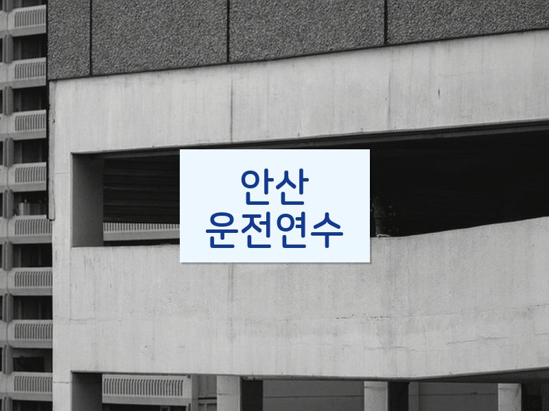 안산운전연수 후기