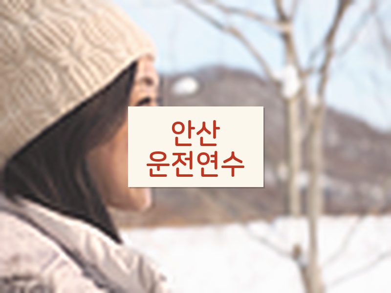 안산운전연수 후기
