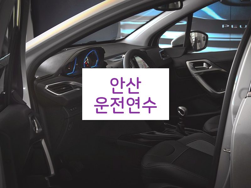 안산운전연수 후기