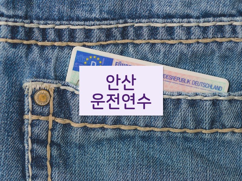 안산운전연수 후기