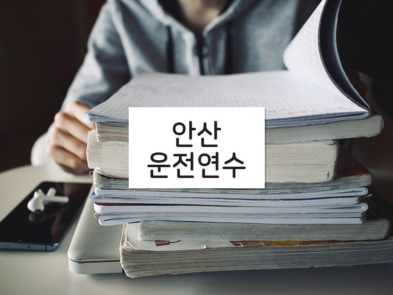 안산운전연수 후기