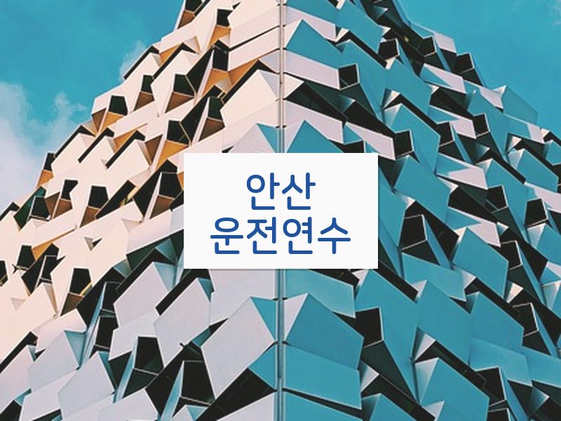 안산운전연수 후기