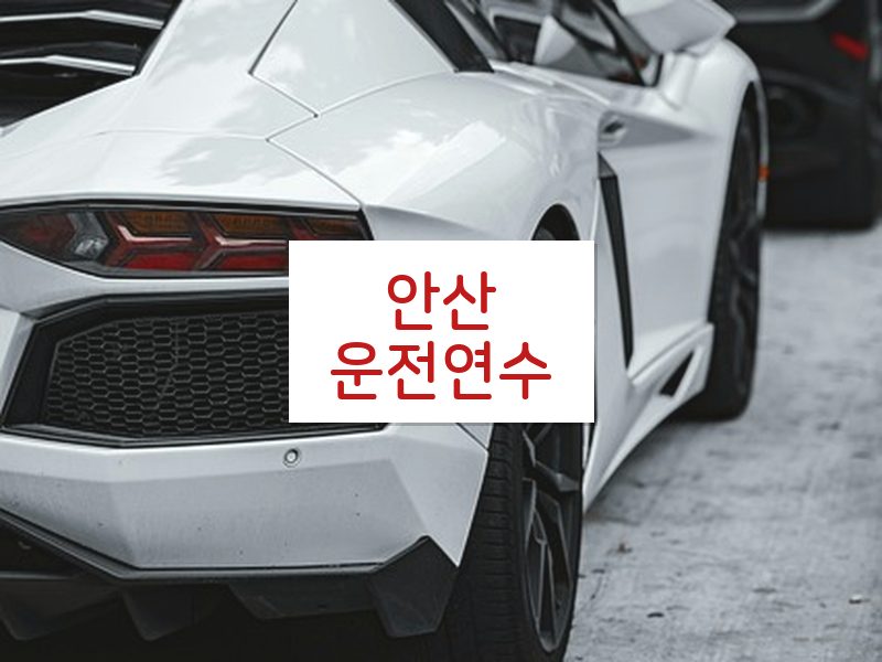 안산운전연수 후기