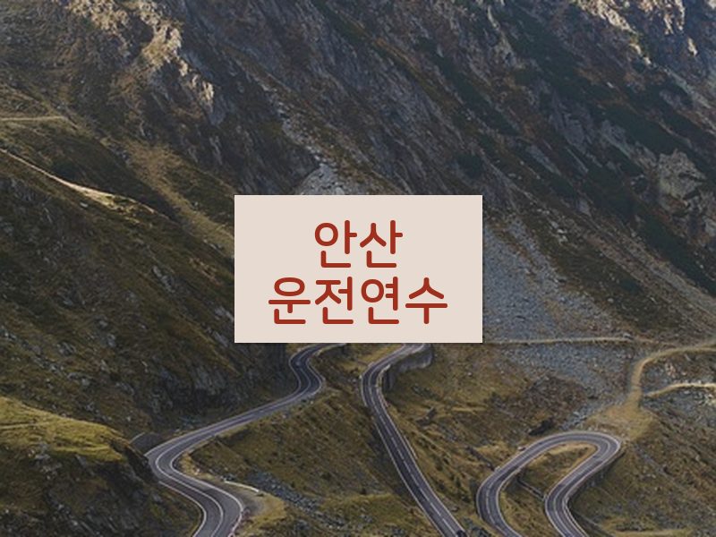 안산운전연수 후기