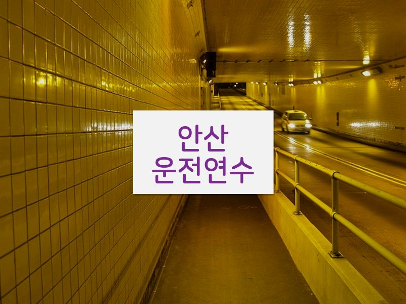 안산운전연수 후기