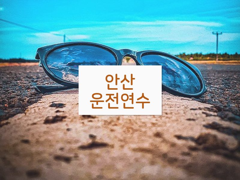 안산운전연수 후기