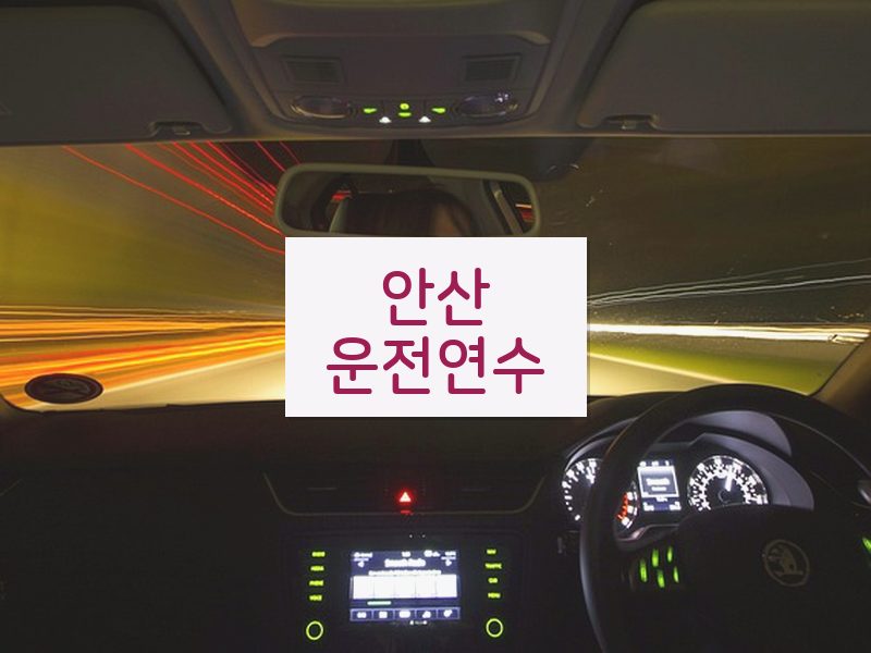 안산운전연수 후기