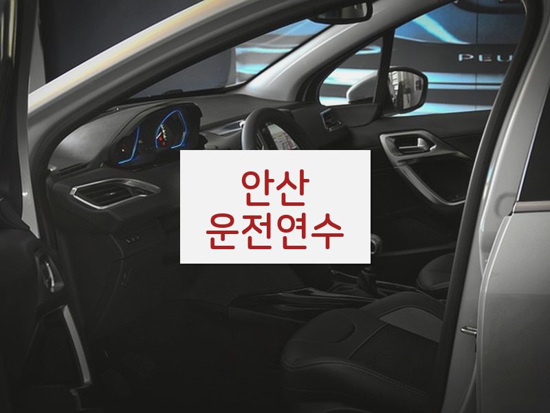 안산운전연수 후기