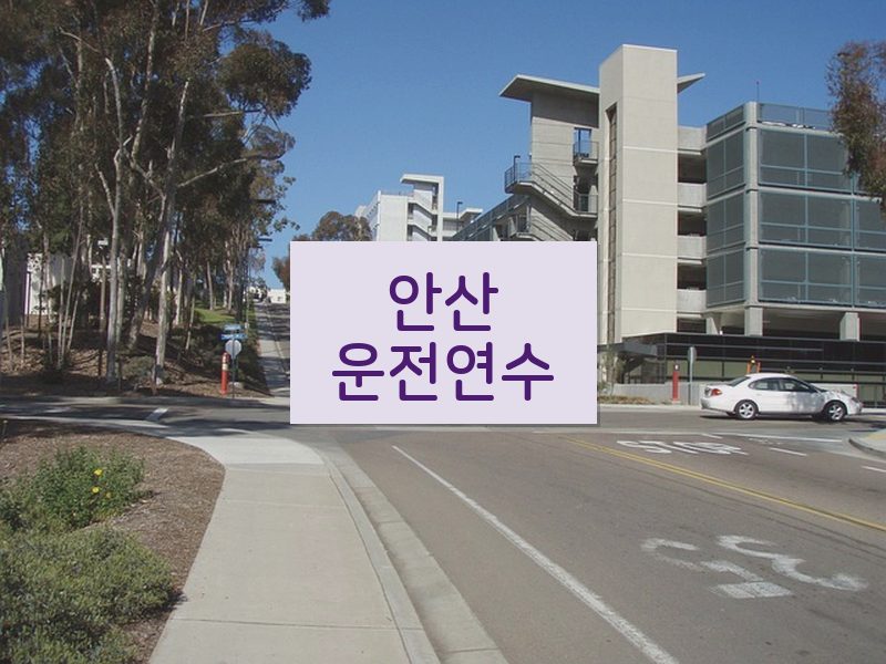 안산운전연수 후기