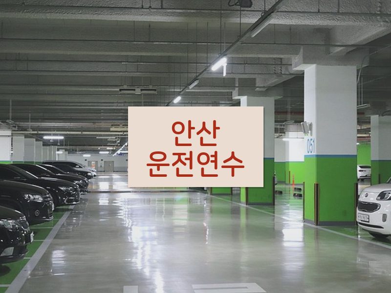 안산운전연수 후기