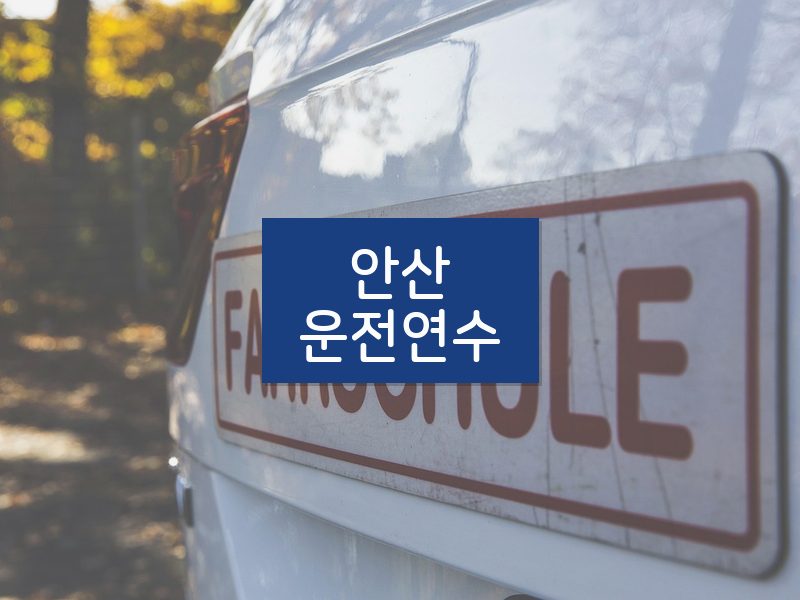 안산운전연수 후기