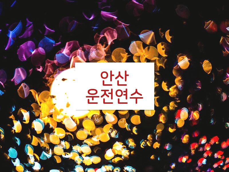안산운전연수 후기