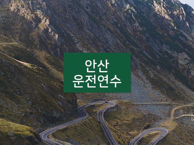 안산운전연수 후기