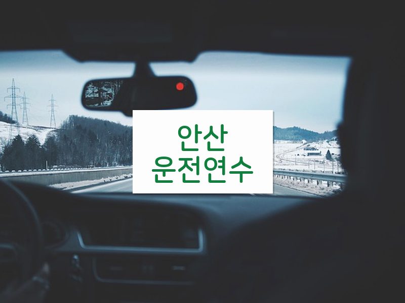 안산운전연수 후기