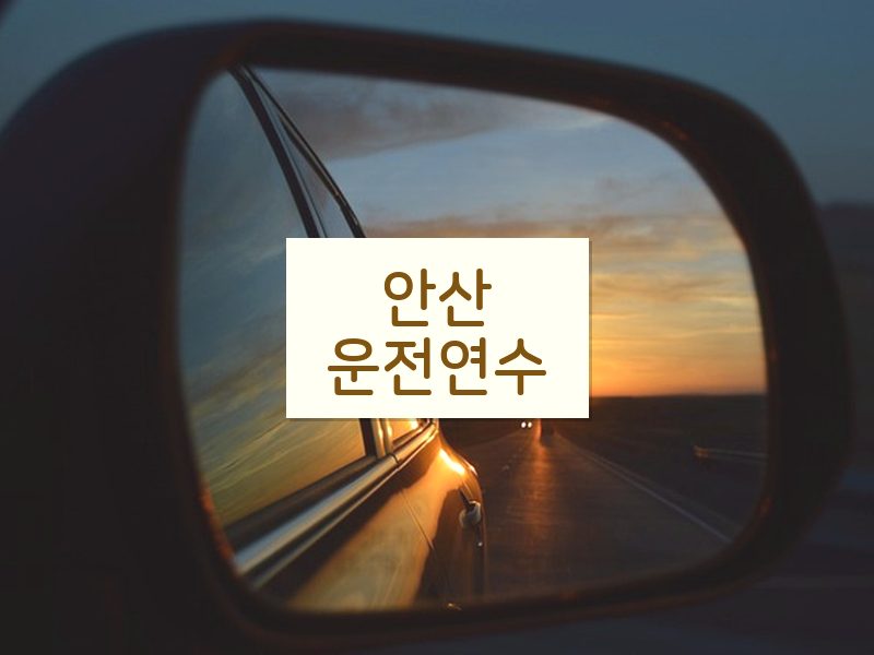 안산운전연수 후기