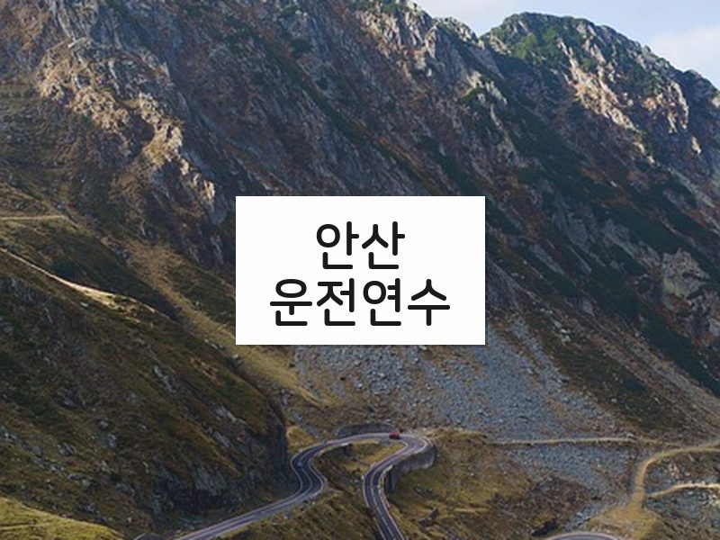 안산운전연수 후기