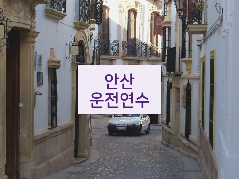 안산운전연수 후기