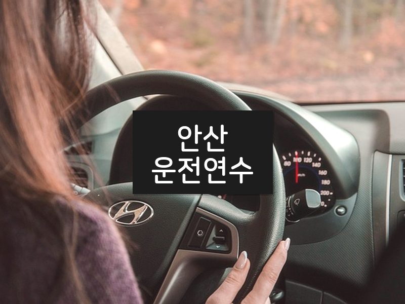 안산운전연수 후기