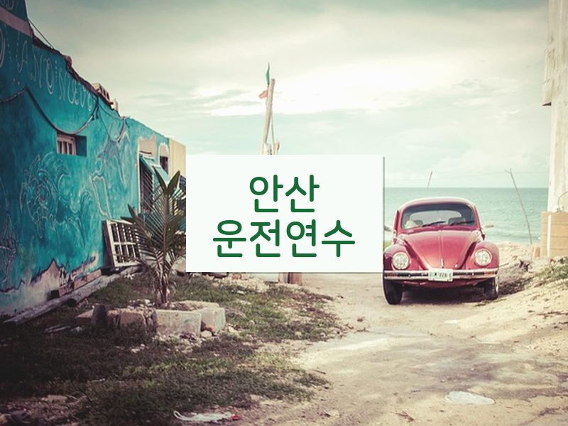 안산운전연수 후기