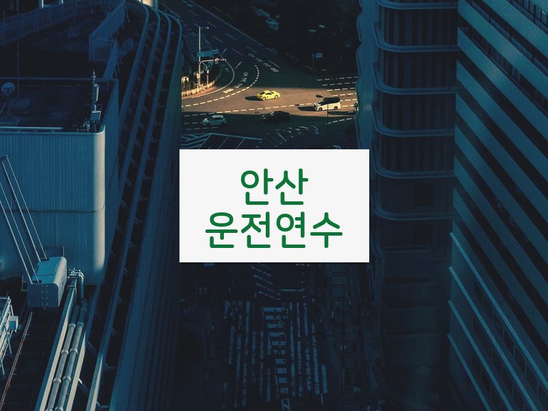 안산운전연수 후기