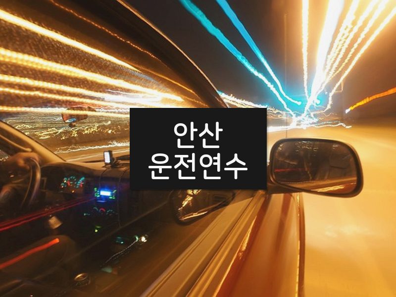 안산운전연수 후기