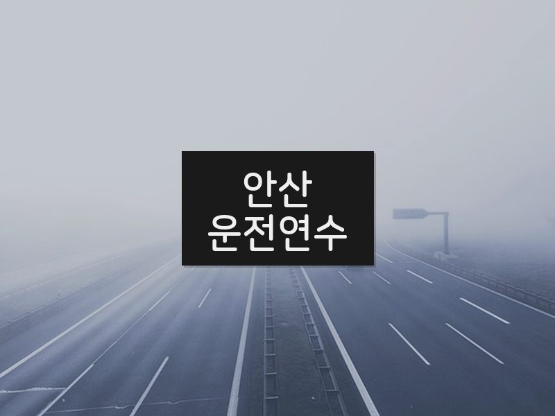 안산운전연수 후기