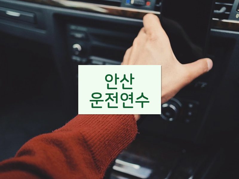 안산운전연수 후기