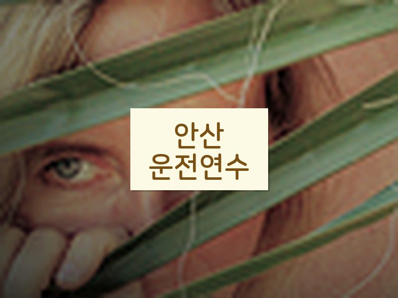 안산운전연수 후기