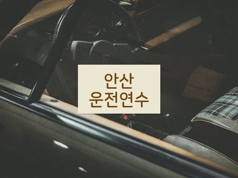 안산운전연수 후기
