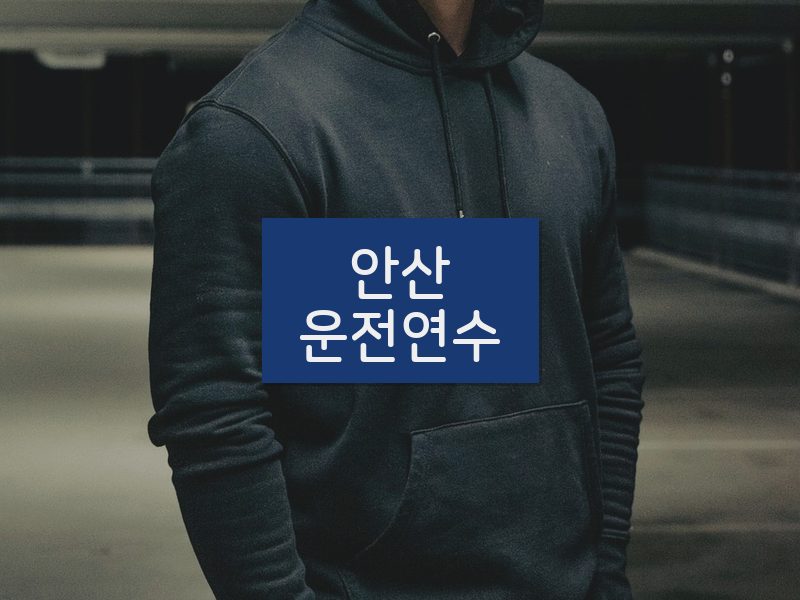 안산운전연수 후기